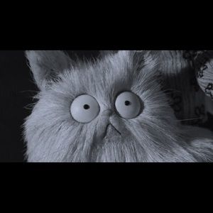 Meet your Posher, Lakyra